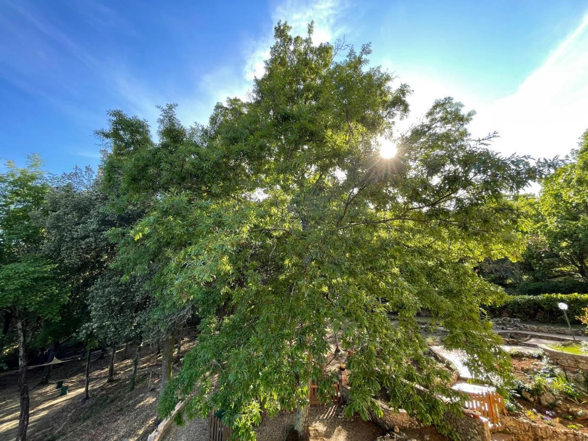 Villa Lilia By Let Σιένα Εξωτερικό φωτογραφία